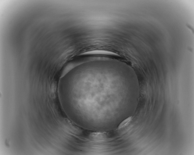 X0000096220082200801251106