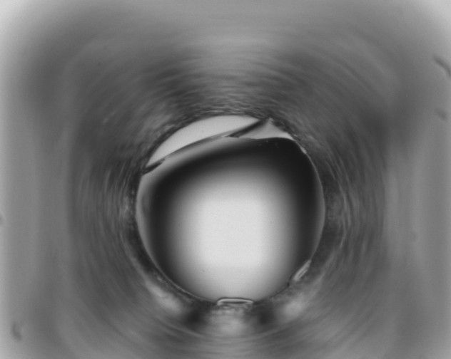 X0000096220084200801251106