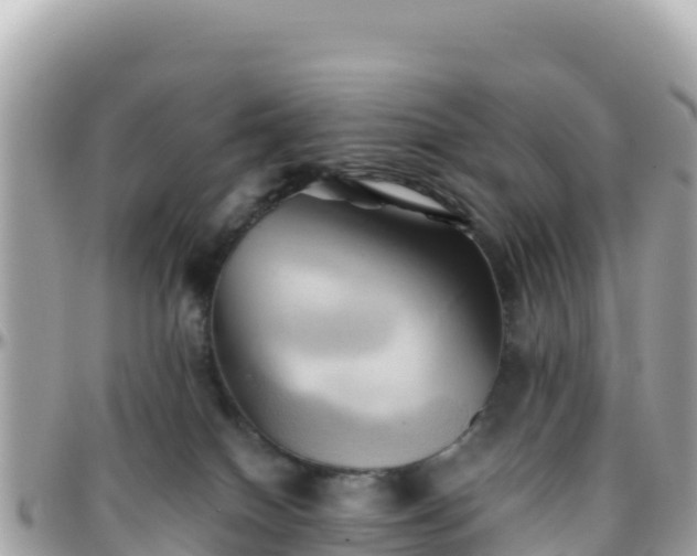 X0000096220086200801251106