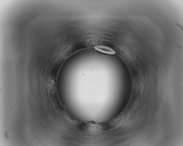 X0000096220087200801251106