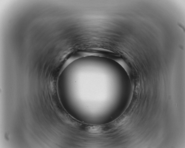 X0000096220088200801251106