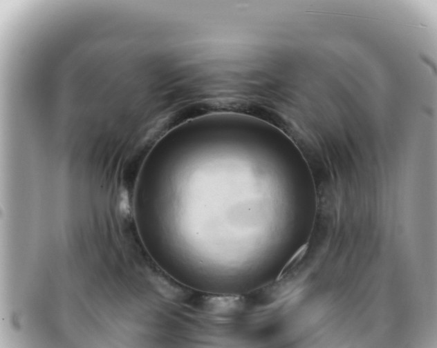 X0000096220089200801251106