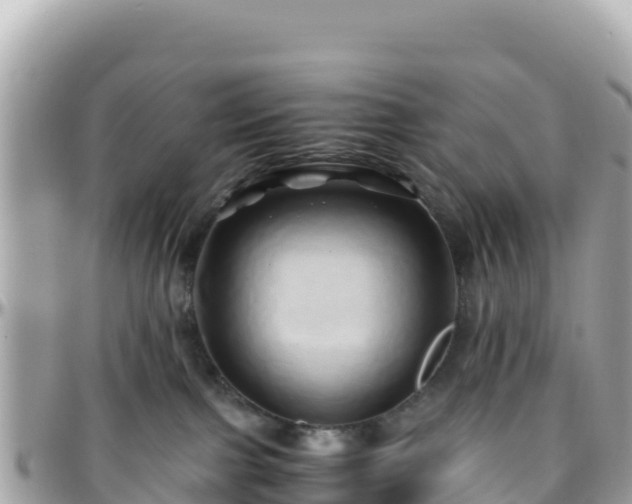 X0000096220091200801251106