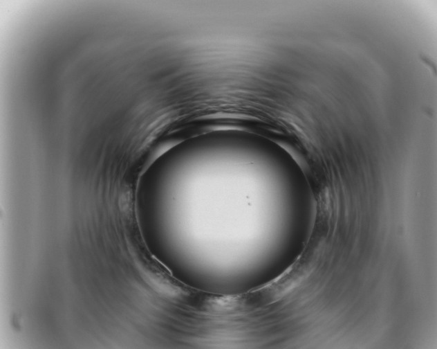 X0000096220092200801251106