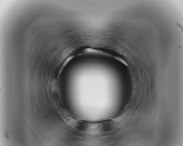 X0000096220096200801251106