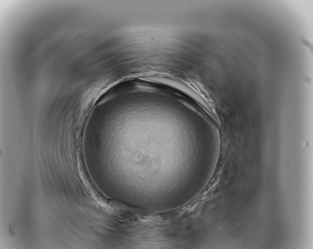 X0000096220097200801251106