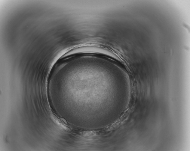 X0000096220100200801251106