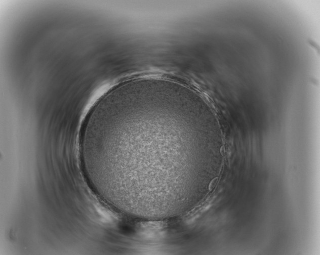 X0000096220102200801251106