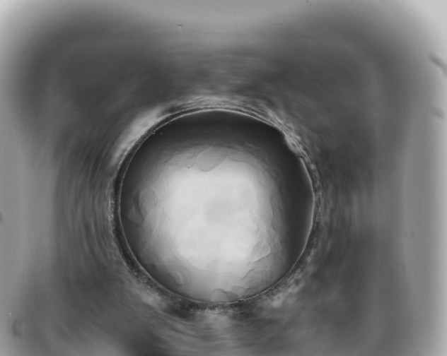 X0000096220103200801251106