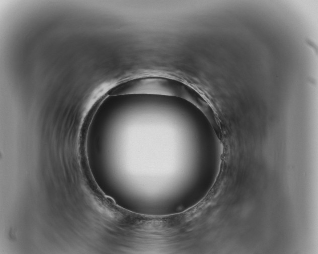 X0000096220104200801251106