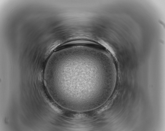 X0000096220105200801251106