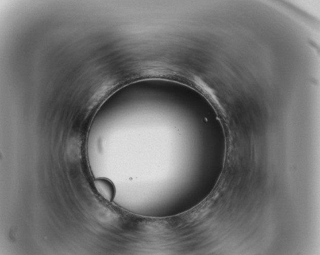 X0000096220106200801251106