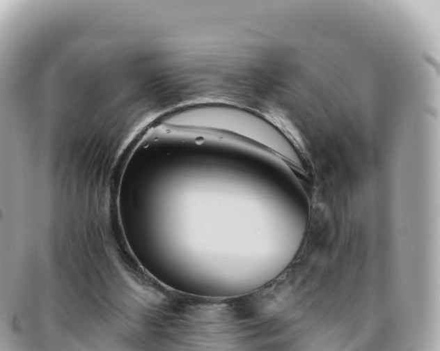 X0000096220108200801251106