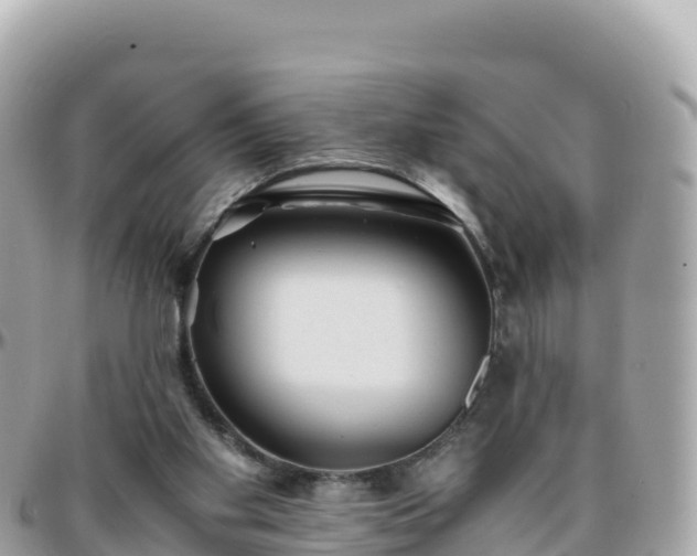 X0000096220109200801251106