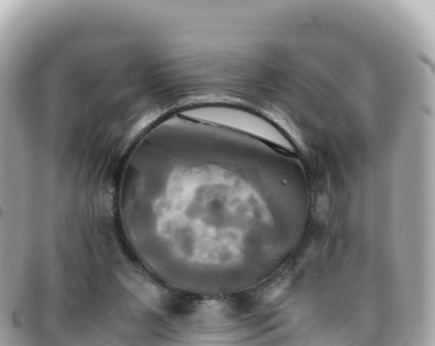 X0000096220111200801251105