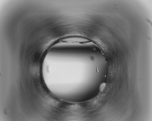 X0000096220112200801251105