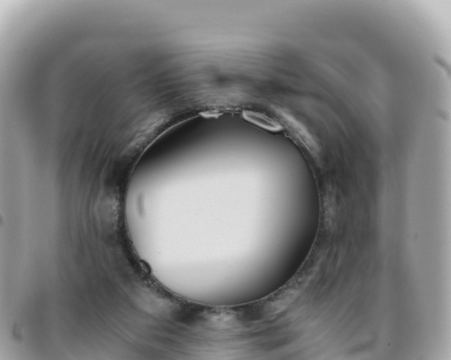 X0000096220113200801251105