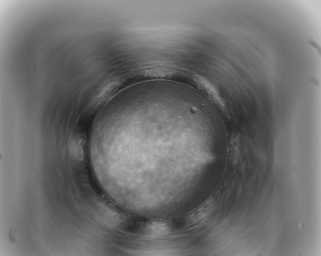 X0000096220114200801251105