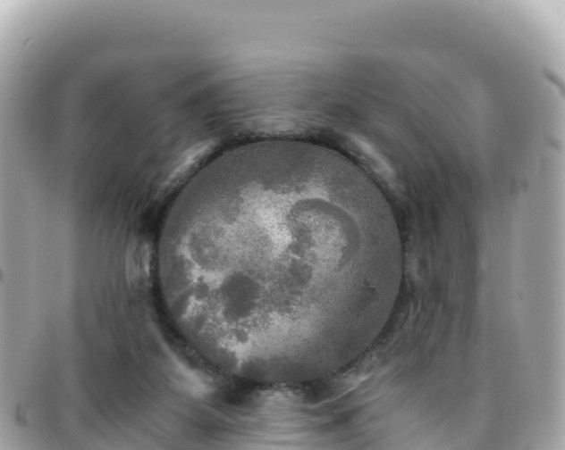 X0000096220115200801251105