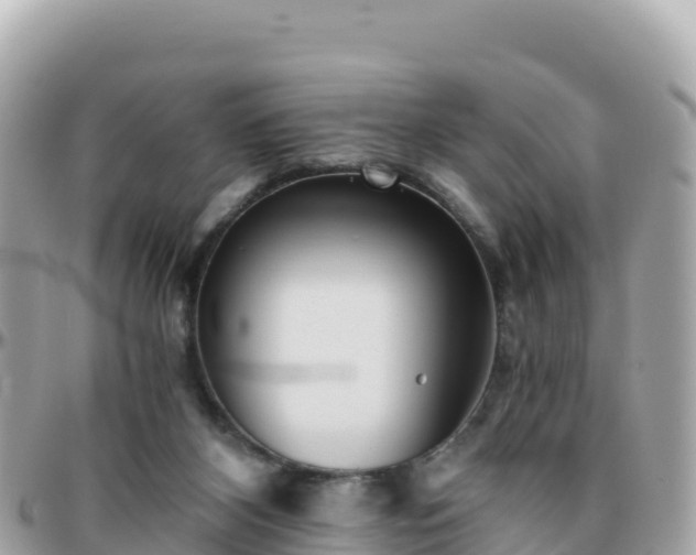 X0000096220116200801251105