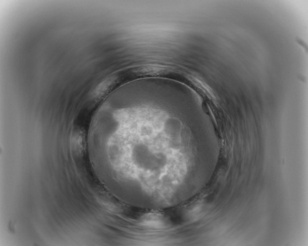 X0000096220119200801251105