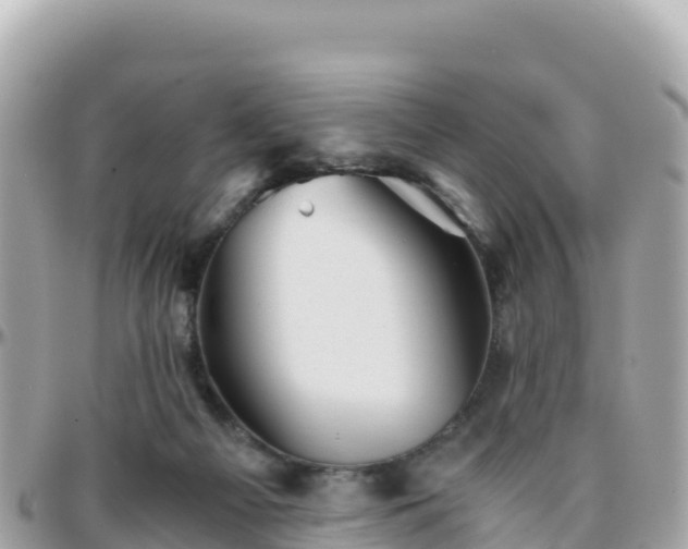 X0000096220121200801251105