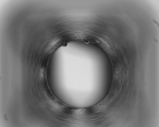 X0000096220122200801251105