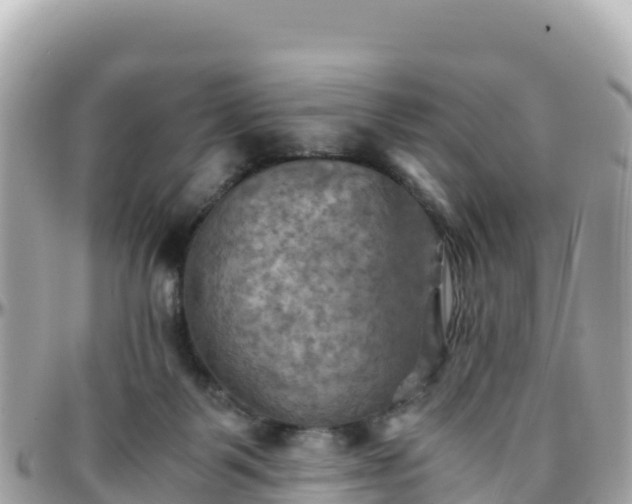 X0000096220123200801251105