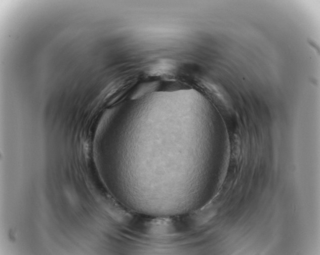 X0000096220124200801251105