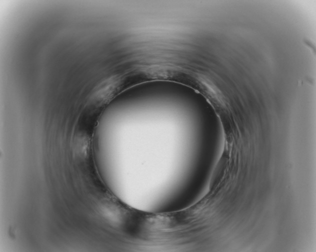 X0000096220125200801251105