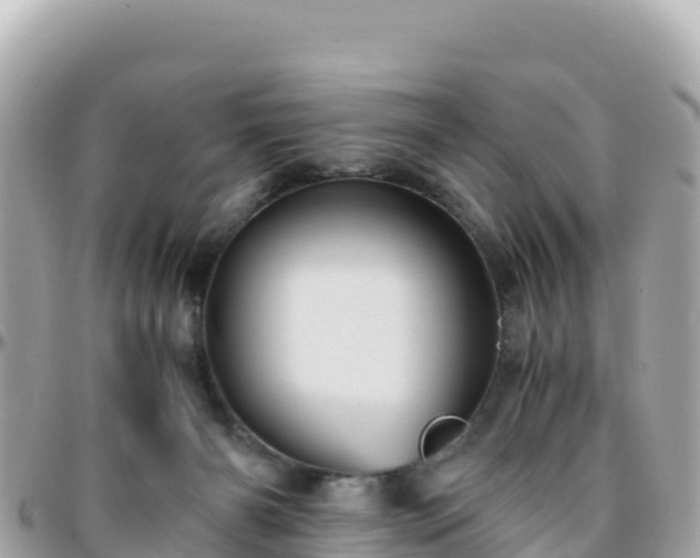 X0000096220126200801251105