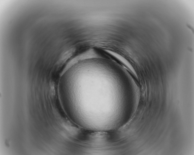 X0000096220128200801251105