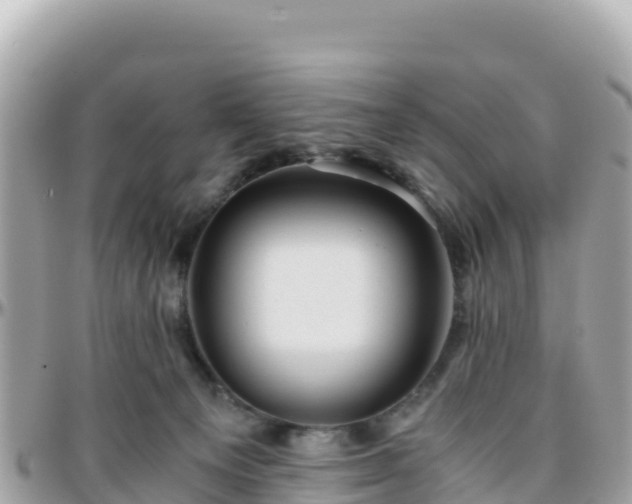 X0000096220129200801251105