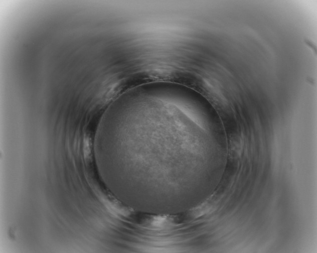 X0000096220130200801251105