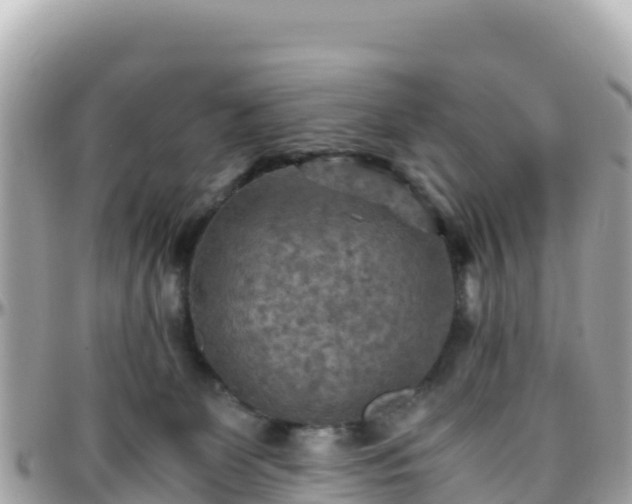 X0000096220131200801251105