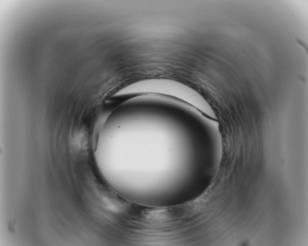 X0000096220132200801251105