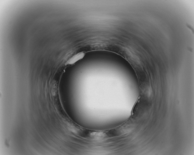 X0000096220133200801251105