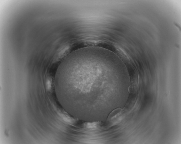 X0000096220134200801251105