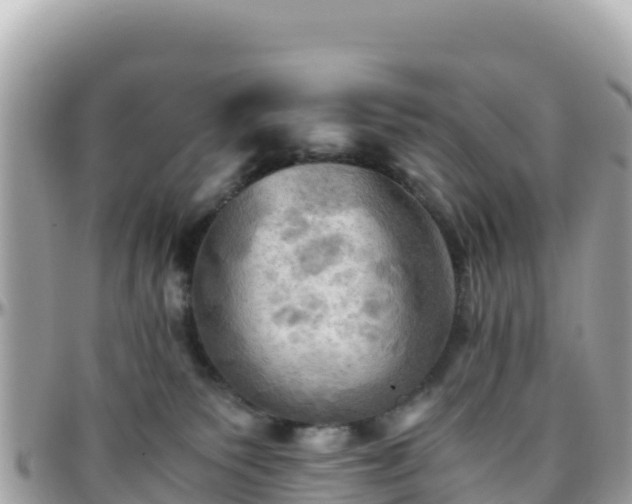 X0000096220135200801251105