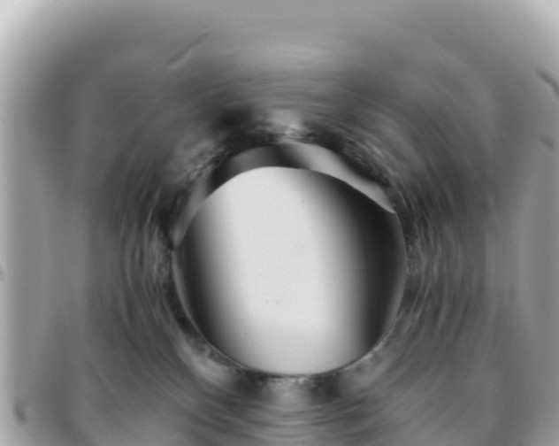 X0000096220136200801251105