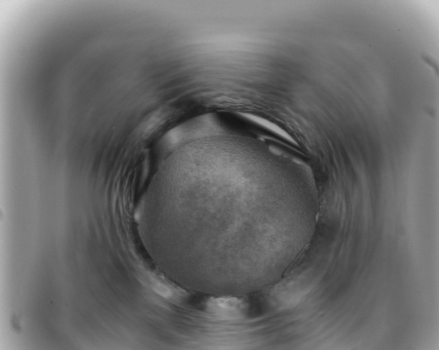 X0000096220137200801251105