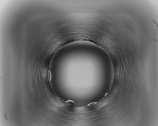 X0000096220139200801251105