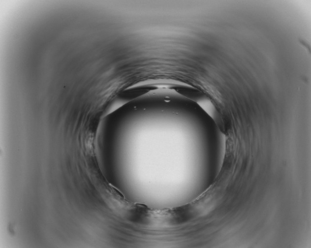 X0000096220141200801251105