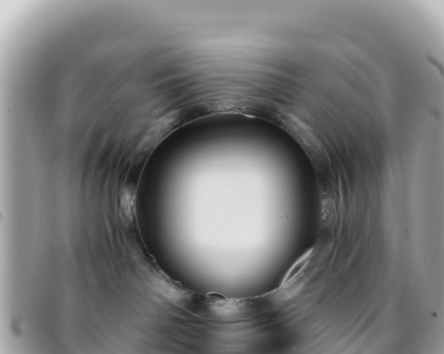 X0000096220142200801251105