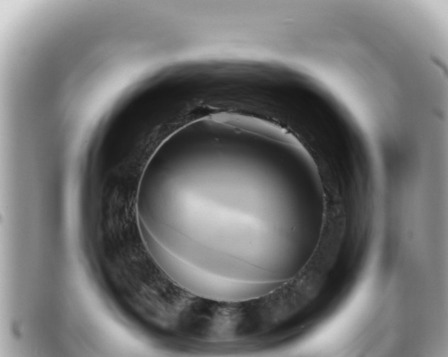 X0000096220143200801251105