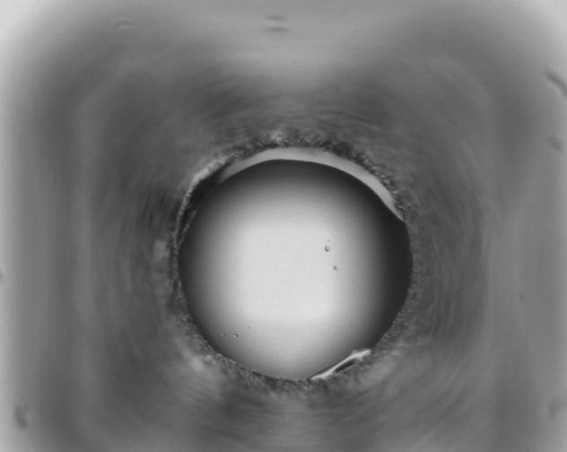 X0000096220144200801251105