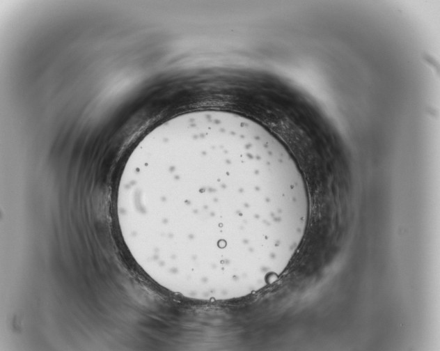 X0000096220146200801251104