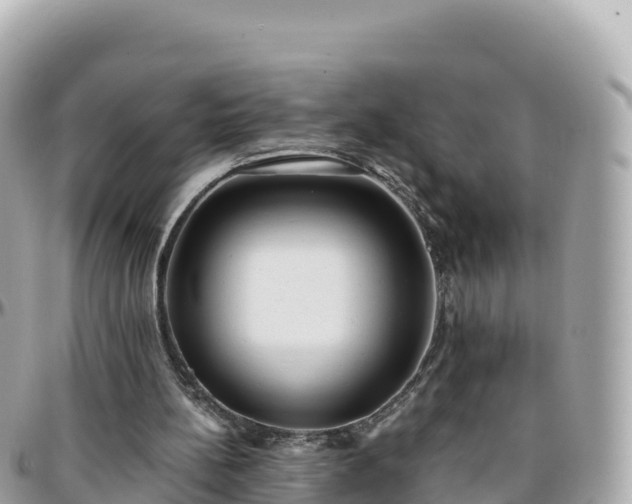 X0000096220148200801251104