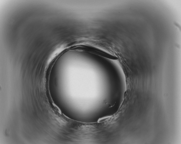 X0000096220150200801251104