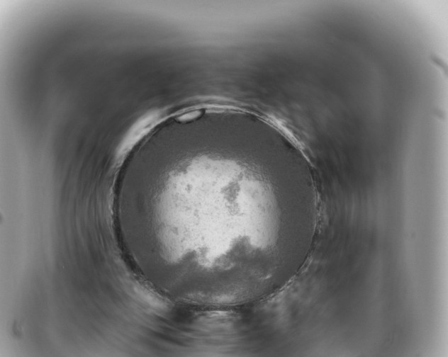 X0000096220151200801251104